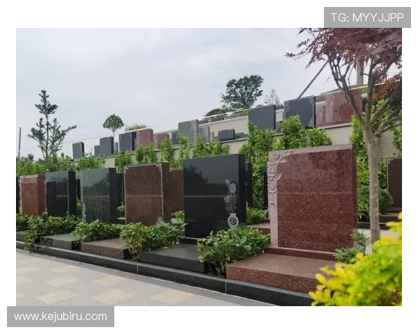 开云真人娱乐官网的注册流程与新手指南详解