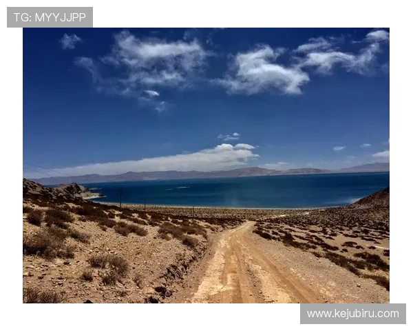 开云手机登录账号绑定邮箱的步骤详解与操作技巧